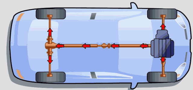 3.gif
