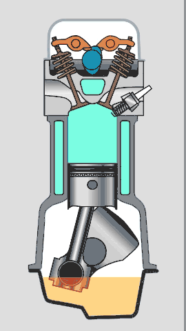 12.gif