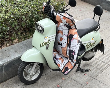 What are the advantages and disadvantages of electric two-wheelers and motorcycles?
